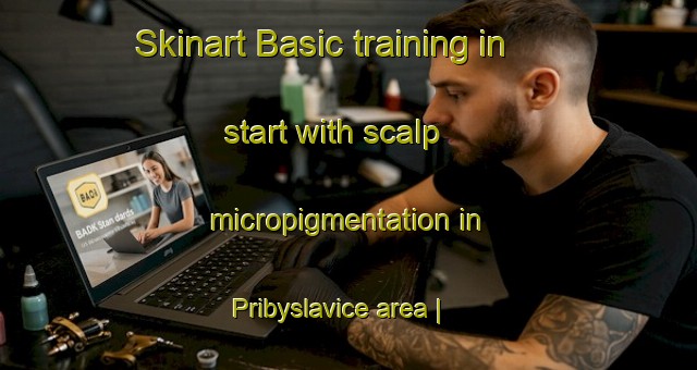Skinart Basic training in start with scalp micropigmentation in Pribyslavice area | SmpTraining | SmpClasses | SkinartTraining-Czech Republic